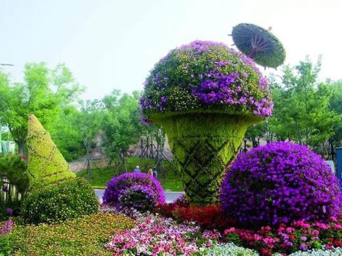 【景區專用的植物雕塑,園林植物綠雕設計】- 