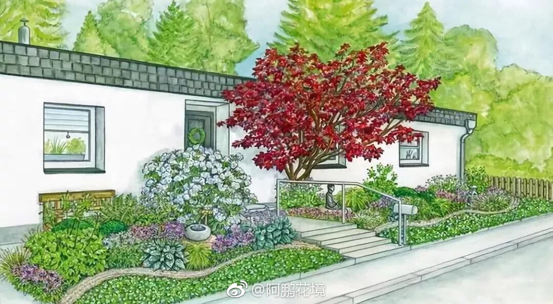 前院花園花境設(shè)計
