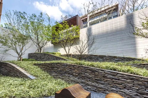 上海精品樓盤考察 中海 東原 融創(chuàng) 萬科 泰禾 建發(fā)