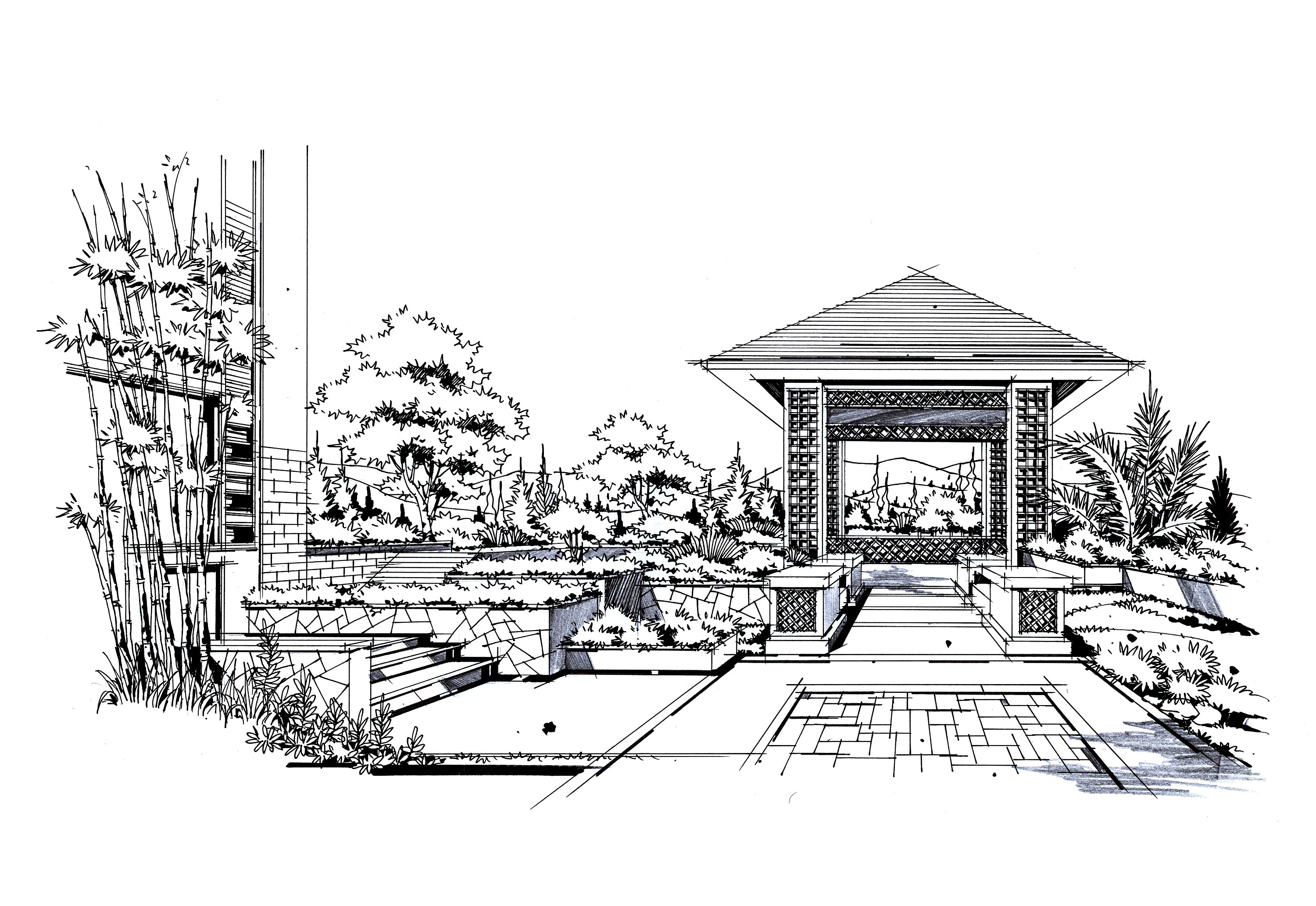 園林景觀手繪|純藝術|鋼筆畫|晉繪丨小威 